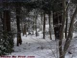 Sylvan Drive and Horse Shelter