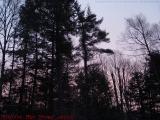 Dawn's Early Light, Harvard, Massachusetts