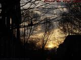 Sunset Window Wash and Silhouettes, Cambridge, Mass.