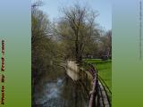 Placid Waterway, Adjacent St. Paul Cemetary, Arlington