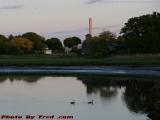 Geese on the Saugus River at Low Tide, Lynn, Massachusetts