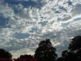 Unsettled Sky, from Boston Public Garden