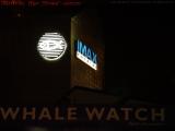 Signage in Available Light, Boston Aquarium