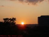 Sunset Perspective With Birds, Fresh Pond Area, Cambridge