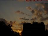 Silhouette Skyline With Sunbeams, Fresh Pond, Cambridge