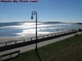 Lamp Post Study, Lynn Shore Drive, Massachusetts