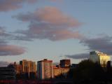Boston's West End in Late Sun, from Cambridgeside