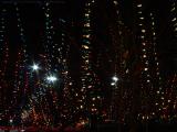 Waving Holiday Lights, East Boston, Massachusetts