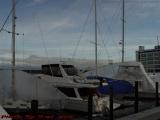 Winter Cocoons, Pickering Wharf Marina, Salem, Mass.
