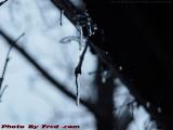 New Icicles After An Ice Storm, Groveland, New York