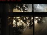 Frozen Windows With Sunset Light, Groveland, New York
