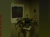 Still Life With Art, Cape Elizabeth, Maine