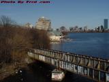 Lower Charles Perspective With Water Fowl and Graffiti