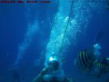 Snuba Diving With Fish, Cozumel, Mexico