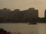 Duck Boating on a Misty Charles River, from Esplanade