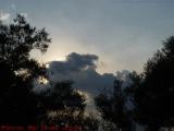 Backlit Clouds and Silhouetted Trees, Esplanade, Boston