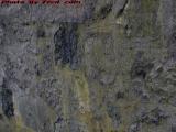 Rock Wall With Lichen, in Perspective, Dorchester, Mass.