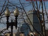 Daytime Lamp Study, Washington Street, South End, Boston