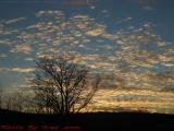 Sunset Cloud Tree Silhoutte, Indian Castle Service Area