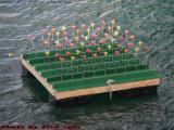 Night Blooming Day Lilies, Fort Point Channel, Boston