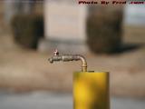 Spigot, Riverside Cemetary, Saugus, Massachusetts