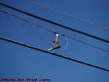 Whatsit Gadget, Chestnut and Winter, Saugus, Massachusetts