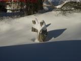 Jesus and Mary Presiding Over the Snow, Dell Court, Lynn