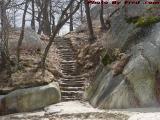 Sunlit Beachfront Stairway, Gloucester, Massachusetts