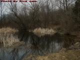 Old Pond, Groveland, New York