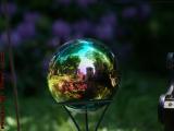 Reflecting Ball Study, Bob's Garden, Dorchester, Mass.