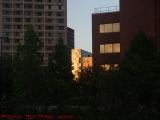 Windows of Fire # 67, Kendall Square, Cambridge, Mass.