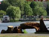 Nature, Work and Recreation, Esplanade, Boston