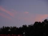 Jet With Necklace Over Sunset Silhouetted Trees, Lynn