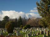 Rush Rhees Library Over Mount Hope Cemetary, Rochester
