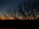 Dusk November Sky Through Bare Trees, Groveland, New York
