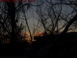 Sunset Fire Through Silhouetted Trees, Framingham, Mass.