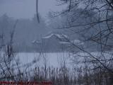 Home on Elginwood Pond in the Storm, Peabody, Mass.