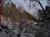 Late Afternoon Sun on the Upper Gully Wall, Groveland, NY