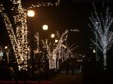 Warm January Newbury Street in Available Light, Boston