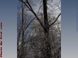 Winter Weather, Ice and Clouds, Groveland, New York