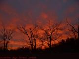 Sunrise Spectacular Over Crystal Pond, Peabody, Mass.