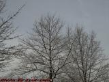 Winter's Last Snow? Against Wet Storm Clouds, Watertown