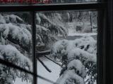 Winter Hanging On, Seen Through Old Glass, Groveland, NY