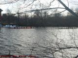 Signs of Spring - Shells on the Charles River