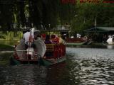 A Different Swan Boat Perspective, Boston Public Garden