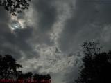 Mostly Cloudy Sky With High Soaring Birds, Lynn, Mass.