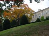 Sculpted Fall Hillside Under Clouds, Tufts University