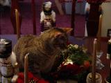 I'm Part of the Centerpiece, Didn't You Know?  Penny...