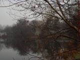 December Trees in Chill Morning Fog, Devil's Dishfull Pond
