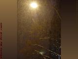 Winter Precipitation in Street Light, Kenmore Square